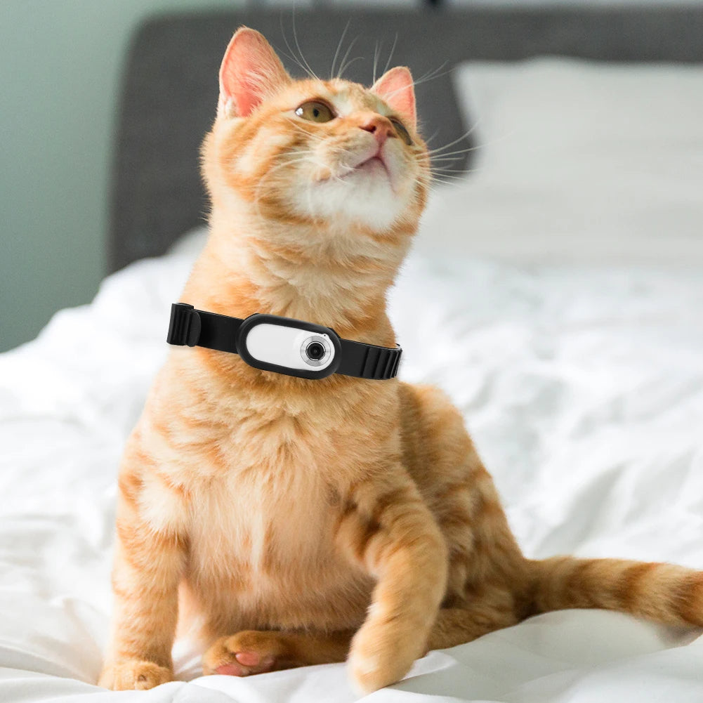 Camera Collar for Cats & Dogs Camera Collar for Cats & Dogs